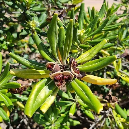 Cabo Cervera Primera Linea De Lujo Appartement