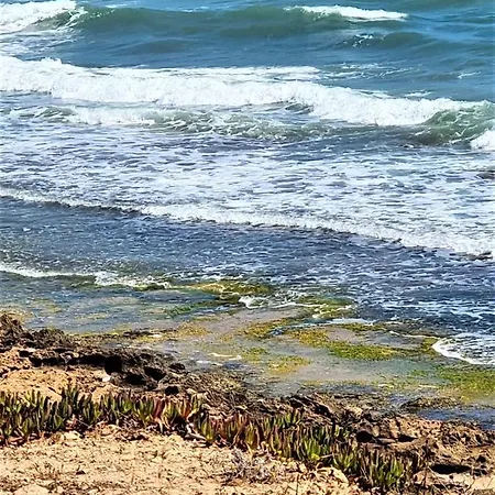 Cabo Cervera Primera Linea De Lujo